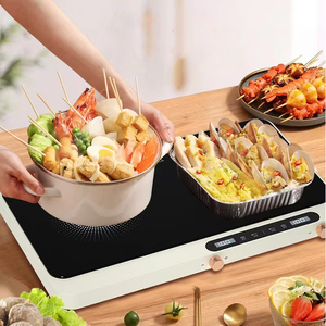 Cuisinière à induction multifonctionnelle avec plaque en céramique pour usage domestique, extérieur et hôtelier - Product Image 2