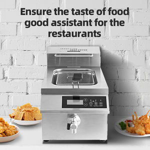 Friggitrice elettrica commerciale 8L/12L con controllo a manopola in acciaio inox che solleva friggitrice profonda con filtro per ristorante - Product Image 3