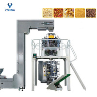Machine d'emballage automatique à 10 têtes, pesée de granulés/Berad/bonbons/café/haricots/snacks