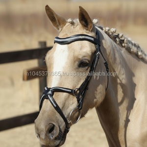 Brida para Caballo Mexicana con Cristales Brillantes, Modelo 1819, Productos Elegantes - Product Image 1