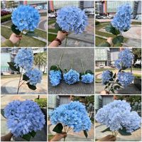Fleurs artificielles bleu clair en gros pour la décoration de mariage à domicile
