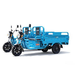 Tricycle cargo électrique 1000W 48V, carrosserie ouverte, tricycle électrique robuste, capacité de charge 300 kg, vélo cargo - Product Image 4