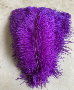 40-45cm pennacchio naturale <span class=keywords><strong>fucsia</strong></span> <span class=keywords><strong>piume</strong></span> di struzzo per festa di carnevale casa matrimonio centrotavola vaso per vacanza fai da te artigianale floreale - Product Image 4