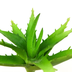 Suculentas Artificiales, Aloe <span class=keywords><strong>Vera</strong></span> Gigante Invertido, Material <span class=keywords><strong>de</strong></span> PVC Ecológico Realista, Planta Decorativa para Hogar, Jardín y Oficina - Product Image 2