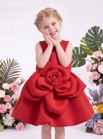 Robe de princesse superposée pour petites filles, en coton aérien, avec grande fleur tridimensionnelle, sans manches, pour anniversaire et été