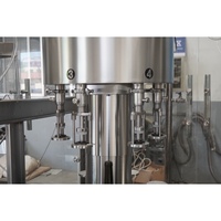 Machine de mise en bouteille de vin monobloc à vide rotatif 800-1200BPH pour vin rouge, vin blanc, vin de fruits