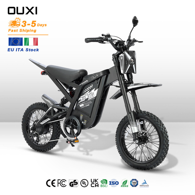 Italy Stock Electric 16 Inch Electric Bike 250W 48V 20AH Electric Mountain Bike Fat Tire Ebike Electric Bicycle GT16