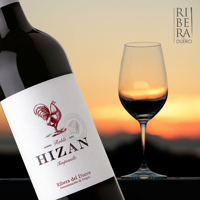 Vin rouge HIZAN Roble vieilli en fût de chêne, fabriqué en Espagne, D.O. Vin de table espagnol Ribera Del Duero 750ml