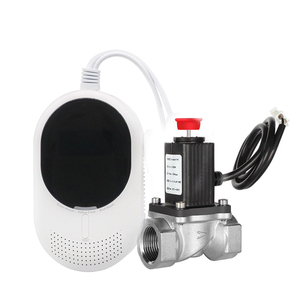 2025 New Arrival AC Power co Gas báo động Detector khí đốt tự nhiên cảm biến với solenoid valve - Product Image 1