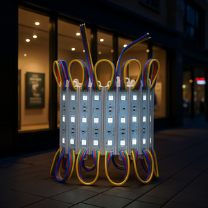 Módulo LED IP68 Resistente al Agua, Cambio de Color RGB, Iluminación para Escaparates de 41 pies, D0100H53J96, DC 24V - Product Image 2