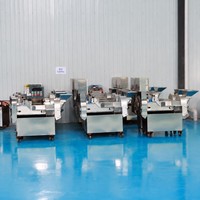 Hoge kwaliteit groente- en fruit-chipsnijder, -snijmachine en -slicer