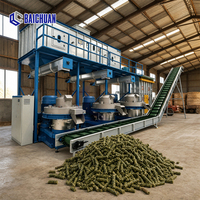 Fully Automatic Industrial Forestry Timber Wood Biomass Pellet Making Line