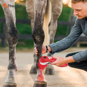 Produk terapi Laser dingin hewan peliharaan penggunaan rumah untuk rasa sakit portabel dan dapat diisi ulang - Product Image 2