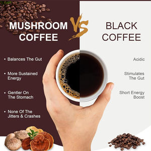 Healthife Private Label Instant Champignons Koffiesupplement <span class=keywords><strong>Reishi</strong></span> Leeuwen Manen Champignonkoffie - Product Image 4