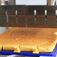 Machine à découper les gâteaux à ultrasons haute performance : crée des portions parfaites en forme de cercle diamant, carré, triangle droit et rond.