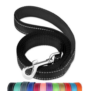 Correa reflectante para Collar de Mascota, asa acolchada suave, fuerte y resistente, cintas de nailon personalizadas, sencilla y sólida, se acepta logotipo personalizado - Product Image 1