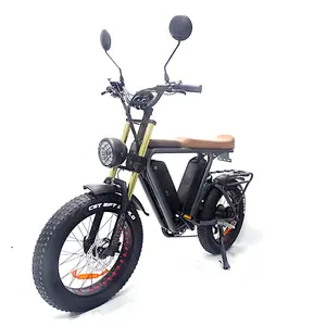 快速ebike 1000w 48v 22ah * 2 S-AMSUNG双电池脂肪轮胎远程全悬挂电动自行车运动山地电动自行车