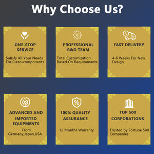 Transducteur à ultrasons StrongFirst <span class=keywords><strong>Langevin</strong></span> pour machine de nettoyage à ultrasons - Product Image 5