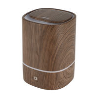 Diffuseur d'arômes en bois miniature pour la maison, personnalisé, avec grain de bois, garantie 1 an, vente en gros