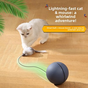Pelota Eléctrica Rodante <span class=keywords><strong>para</strong></span> Mascotas, Perros y <span class=keywords><strong>Gatos</strong></span>, Resistente <span class=keywords><strong>a</strong></span> Mordidas, Autoentretenimiento, Alivia el Aburrimiento - Product Image 2