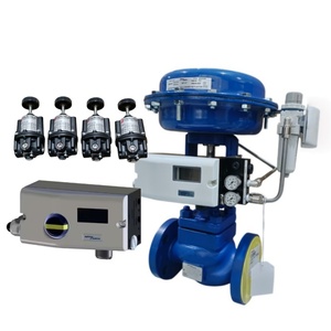 Controlador Digital Inteligente a Prueba de Explosiones SP7 Spirax Sarco para Diagnóstico - Product Image 1