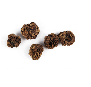 100% אקטנידיה מיובשת אורגנית פוליגמה חרקים Gall פירות ענבי כסף טבעיים מזון לחיות מחמד עשיר בחלבון בשקית לחתולים - Product Image 1