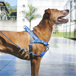 สายจูงสุนัขปรับได้ลายสีฟ้าสายรัด H3D สำหรับเดินนุ่ม - Product Image 4
