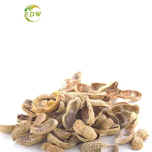 100% Pure Peanut Shell Extract Psyllium Seed Husks Powder Plant Extract
