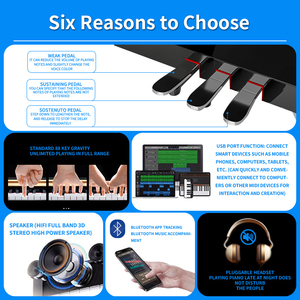 Blanth Studio Bàn Phím Đàn Piano Chuyên Nghiệp USB Nhạ<span class=keywords><strong>c</strong></span> <span class=keywords><strong>C</strong></span>ụ Đàn Piano 88 Phím Đàn Piano Thẳng Đứng - Product Image 4