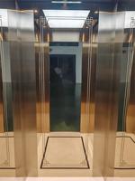 Ascenseur à traction sans engrenages : réduit le bruit, les coûts de maintenance, fonctionnement fluide. Design moderne et élégant en titane et acier inoxydable