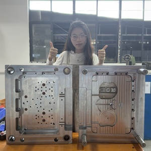 القوالب الملك وضع مخصص موضوع الصناعية وتقليم البلاستيك العفن حقن صب - Product Image 3