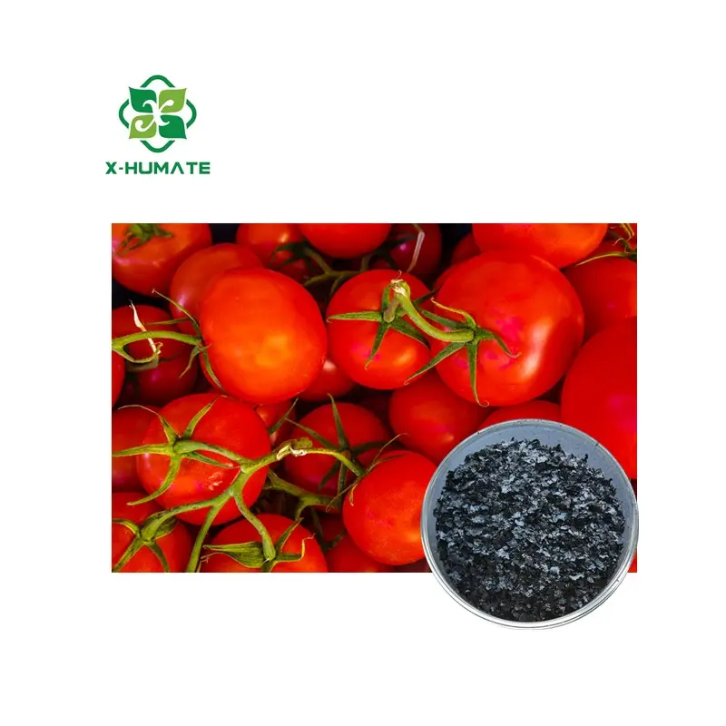 X-humate potassium humate 70-80% humic Acid โพแทสเซียม humate Flakes