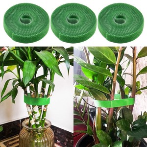 Cinta de Velcro para Plantas Yiwu Sanxin, 1 cm x 5 m, Verde, para Jardinería, Soporte, Fijación de Plantas Trepadoras, Ramas y Arreglos Florales - Product Image 4