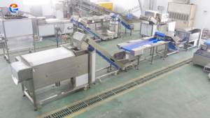 Công nghiệp bé cà rốt rửa, cắt, lột Máy Củ Cải củ cải cà rốt dây chuyền chế biến - Product Image 6