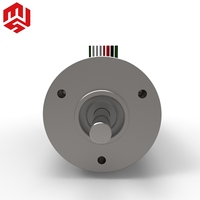 Motor BLDC de Alta Precisión Maxon SBR2241B-02 con Certificación CE de 22 mm con Codificador Integrado para Equipos de Automatización de Laboratorio