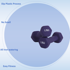 Wholesale High Quality Gym Fitness 1kg 2kg <strong>3kg</strong> 4kg Customized <strong>Weights</strong> Coated PVC Cast Iron Dumbbells Set With Rack - Product Image 2