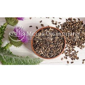 Extracto de Cardo Mariano, Suplemento Herbal Natural para el Apoyo del Hígado, Desintoxicación, Antioxidante, Bienestar y Nutrición Diaria, a Base de Plantas - Product Image 1