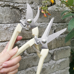 Ciseaux multifonctionnels en acier inoxydable pour le jardinage, à double tranchant, pour l'extérieur, les légumes et les plantes fruitières. - Product Image 4