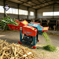 Hacheuse de fourrage électrique 3KW en acier inoxydable avec lames de coupe pour la paille de blé