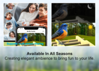 Mangeoire à oiseaux intelligente solaire Wifi AI avec identification, caméra HD 5MP, vision nocturne, étanche IP66, portable, en plastique écologique pour extérieur