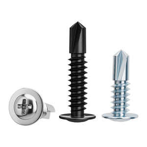 Vis autotaraudeuses Taku M4.2 M4.8 en acier au carbone à tête Phillips avec rondelle pour applications en pierre - Product Image 4