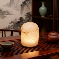 Lampe de table rechargeable en marbre de luxe, sans fil, LED tactile à intensité variable, lampe de chevet, charge USB-C, décoration moderne pour la maison