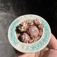 Pot à Succulentes en Céramique Minimaliste Glaçuré Respirant de Taille Moyenne – Adorable Ensemble de Pots de Fleurs Géométriques pour Bureau
