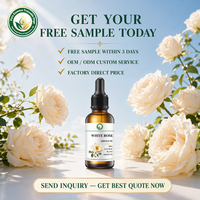 Ingrédient de Formulation en Parfumerie Fine : Absolue de Rose Blanche (Rosa Alba) pour la Création de Parfums et de Fragrances de Luxe