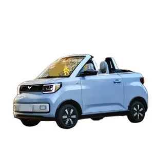 SGMW WuLing HongGuang Mini EV cabriolet voiture électrique pure Runabout 2 sièges Mini véhicule CLTC gamme 280km 2WD Runabout Edition