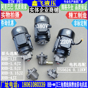 Unidad de Motor de Bomba de Engranajes Cicloides RHB 380V 220V 0.12KW de Hierro Fundido para Lubricación de Máquinas Herramienta - Product Image 3