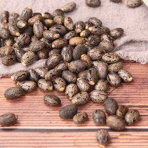 بي ما زي الخروع بذور الفول التوابل والأعشاب واحدة للبيع - Product Image 2