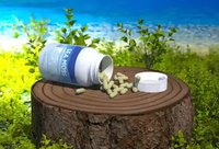 Capsules de mousse de mer pour adultes avec curcuma pour lutter contre le vieillissement, soutenir le système immunitaire et détoxifier (90 unités)