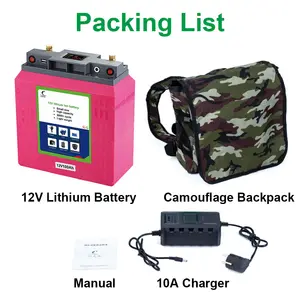 Pack rechargeable solaire 12V 100Ah de grande capacité et léger, batterie au lithium, prix de gros