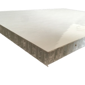 Panel Compuesto de Nido de Abeja de Plástico PP Ligero y de Alta Resistencia, Panel de Nido de Abeja Termoplástico de Fibra de Vidrio, Venta al Por Mayor de Fábrica - Product Image 5